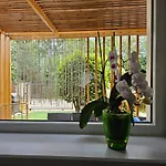 Casa Maia Villa Eforie Sud (Constanta)