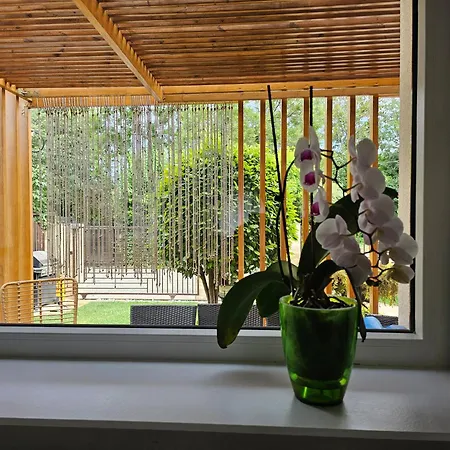 Casa Maia Villa Eforie Sud (Constanta)